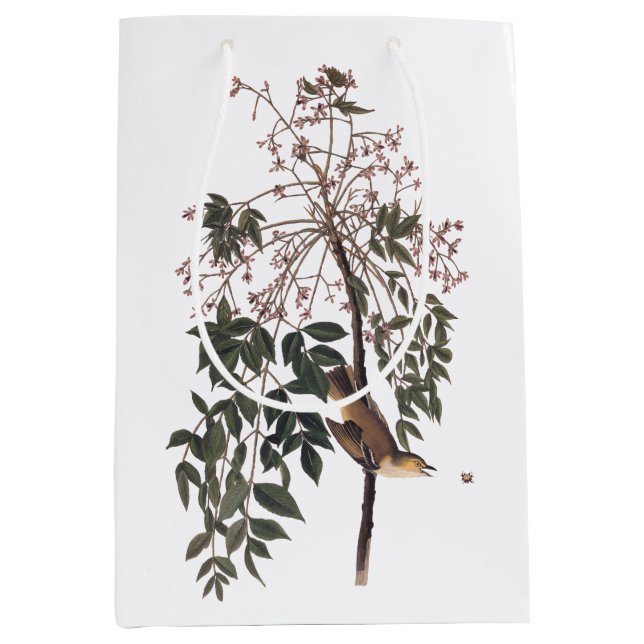Audubon White Eyed Vireo Song Bird Art Medium Gift Bag (Front)