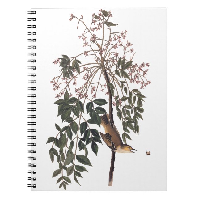 Audubon White Eyed Vireo Song Bird Art Notebook (Front)