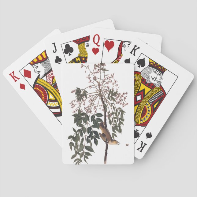 Audubon White Eyed Vireo Song Bird Art Playing Cards (Back)