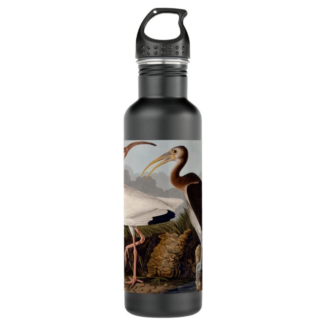 Audubon White Ibis Bird Wildlife 710 Ml Water Bottle (Front)