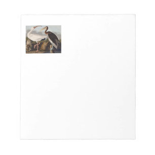 Audubon White Ibis Notepad