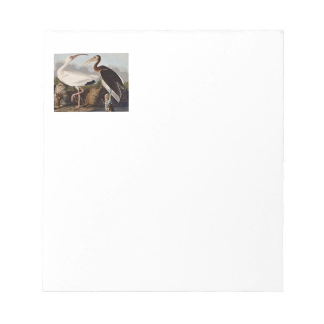 Audubon White Ibis Notepad (Front)