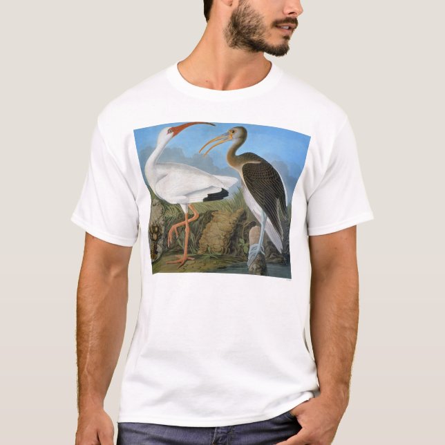 Audubon: White Ibis T-Shirt (Front)