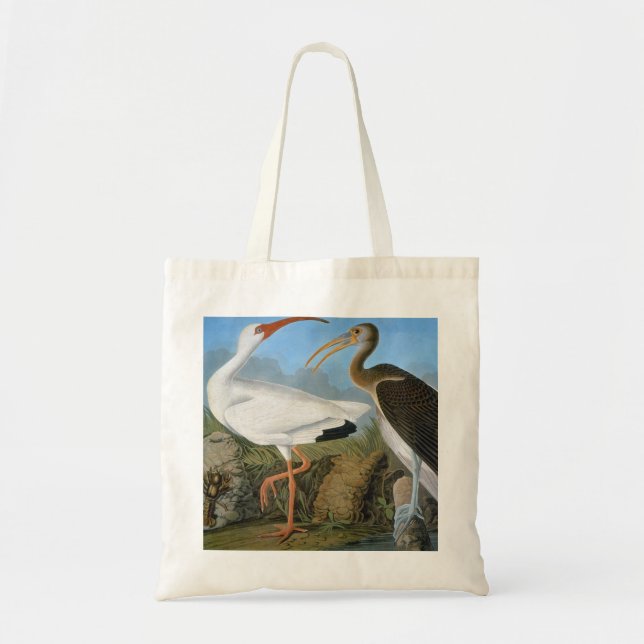 Audubon: White Ibis Tote Bag (Front)