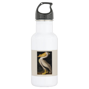Audubon White Pelican Bird America 532 Ml Water Bottle