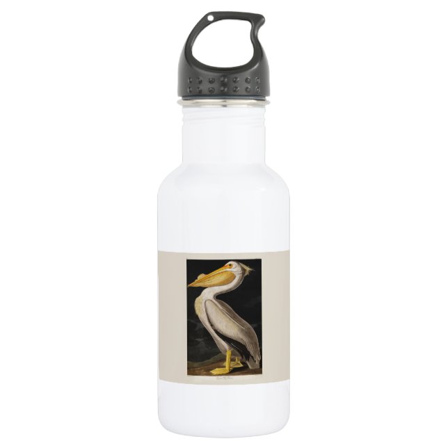 Audubon White Pelican Bird America 532 Ml Water Bottle (Front)
