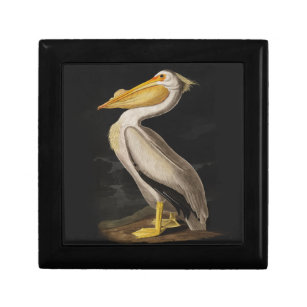 Audubon White Pelican Bird America Gift Box