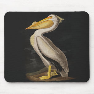 Audubon White Pelican Bird Vintage Print Mouse Mat