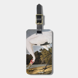 Audubon: Whooping Crane Luggage Tag