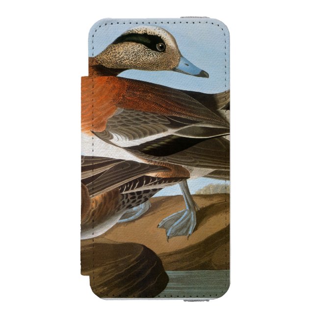 Audubon: Wigeon Incipio iPhone Wallet Case (Folio Front)