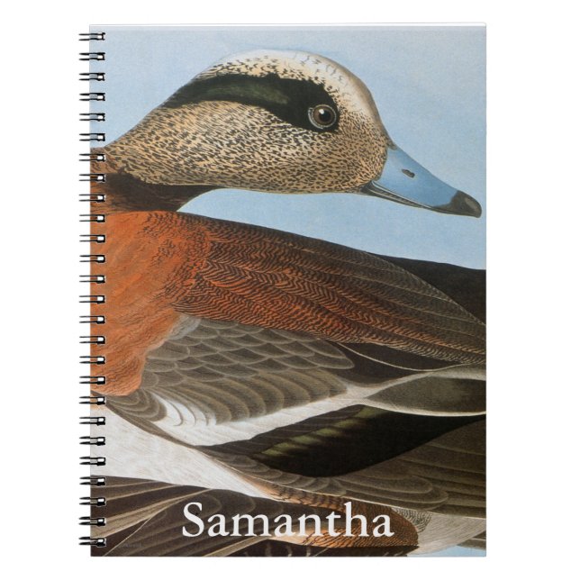 Audubon: Wigeon Notebook (Front)