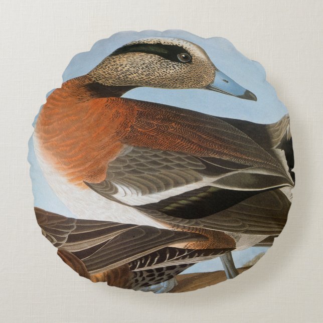 Audubon: Wigeon Round Cushion (Front)