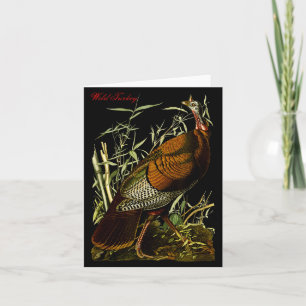 Audubon Wild Turkey North American Birds Education Card