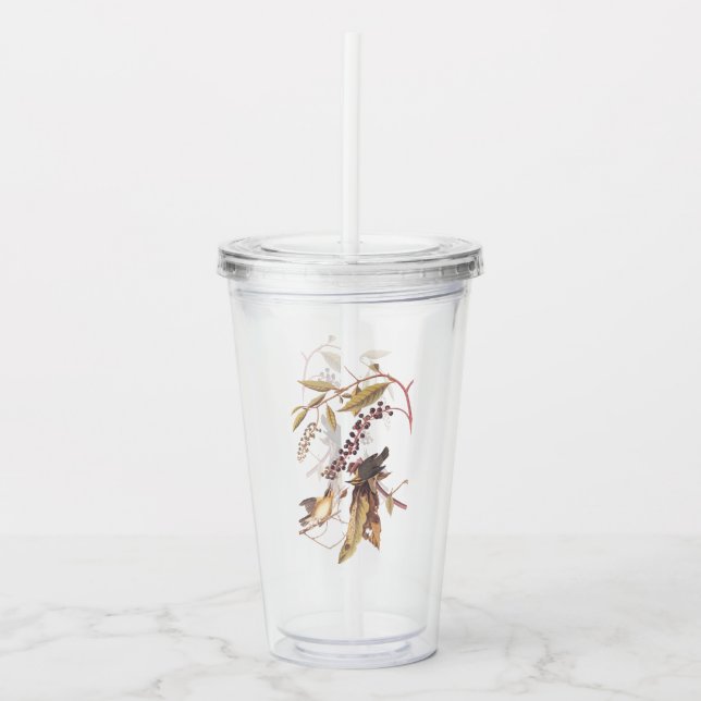 Audubon Worm-Eating Warbler Songbird Acrylic Tumbler (Front)