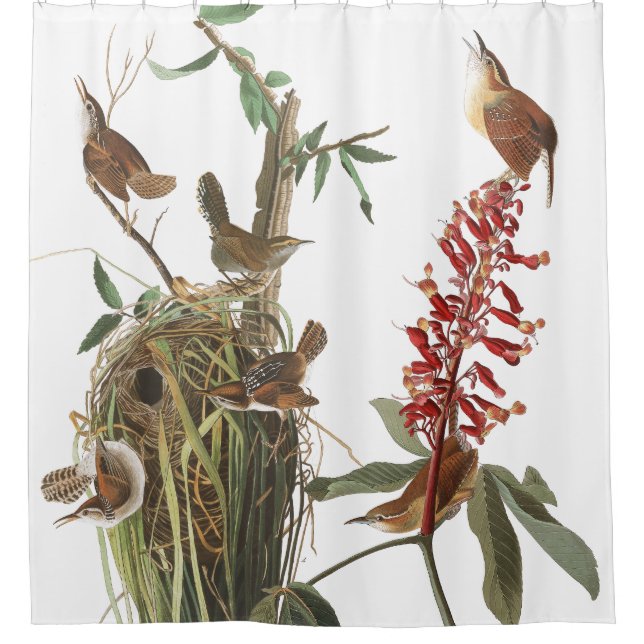 Audubon Wren Birds Animals Flowers Shower Curtain (Front)