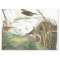 Audubon Wren Nest Birds Wildlife Tissue Paper