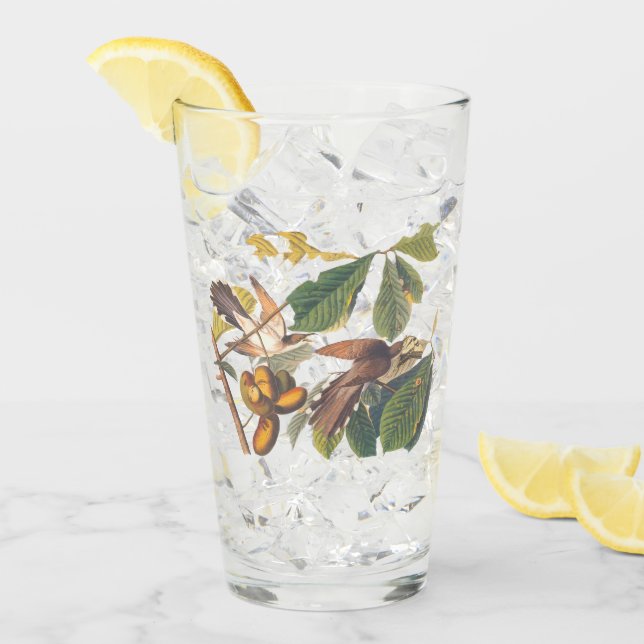 Audubon Yellow-Billed Cuckoo Birds in Fruit Tree Glass (Front Ice)