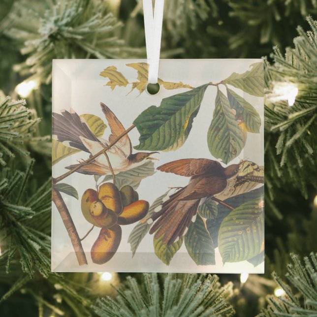 Audubon Yellow Billed Cuckoo Glass Tree Decoration (Insitu)