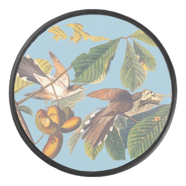 Audubon Yellow Billed Cuckoo Hockey Puck (Front)
