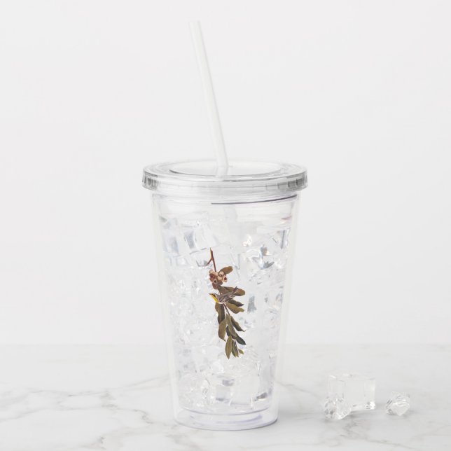 Audubon Yellow throated Warbler Song Bird Acrylic Tumbler (Front Ice)