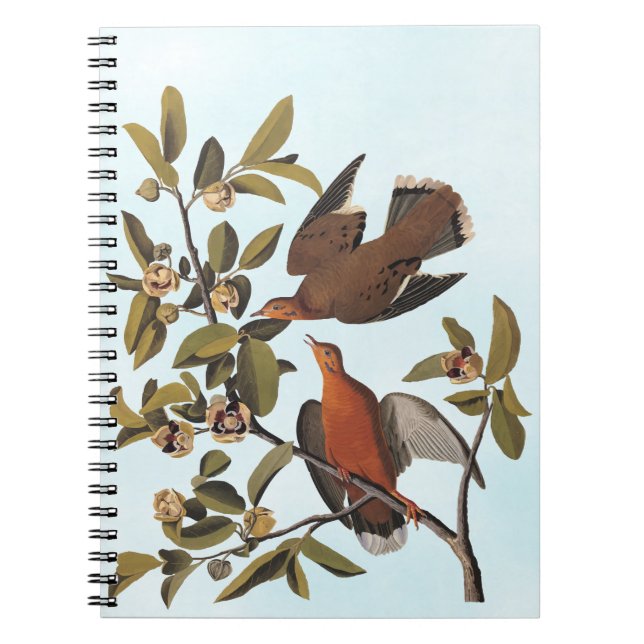 Audubon Zenaida Dove with Flowers Notebook (Front)