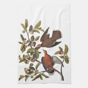 Audubon Zenaida Dove with Flowers Tea Towel