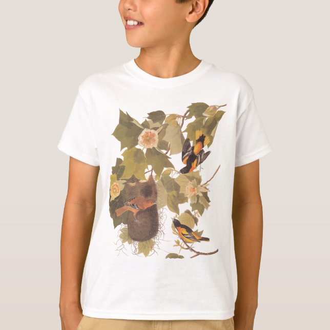 Audubon's Baltimore Oriole Trio T-Shirt (Front)