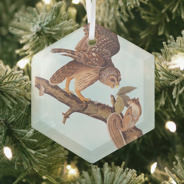 Audubon's Barred Owl and Squirrel Odd Friends Glass Tree Decoration (Insitu)