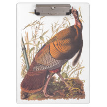 Audubon's Birds of America Wild Turkey Autumn Bird