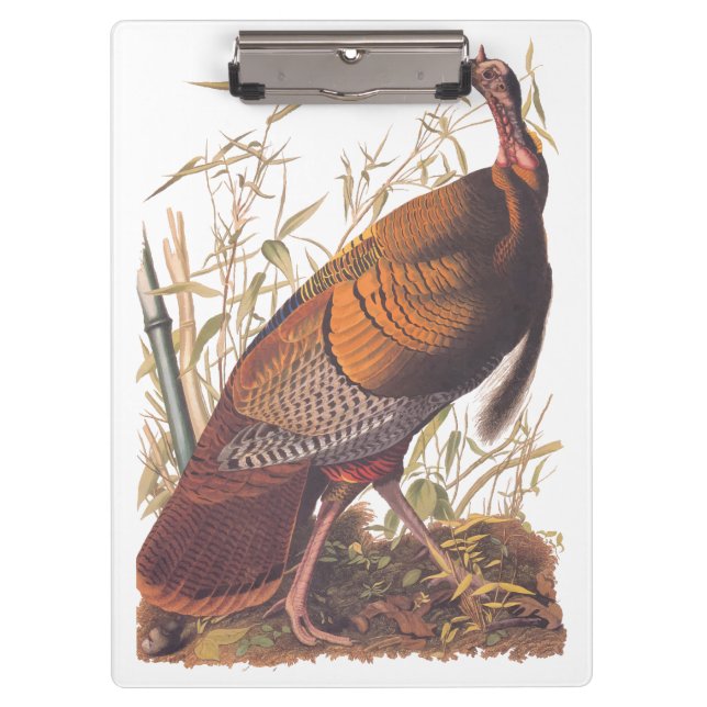Audubon's Birds of America Wild Turkey Autumn Bird Clipboard (Front)