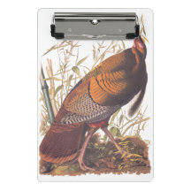 Audubon's Birds of America Wild Turkey Autumn Bird