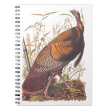 Audubon's Birds of America Wild Turkey Autumn Bird