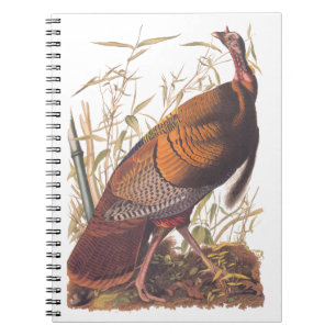 Audubon's Birds of America Wild Turkey Autumn Bird Notebook
