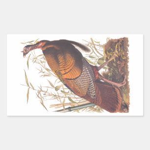 Audubon's Birds of America Wild Turkey Autumn Bird Rectangular Sticker