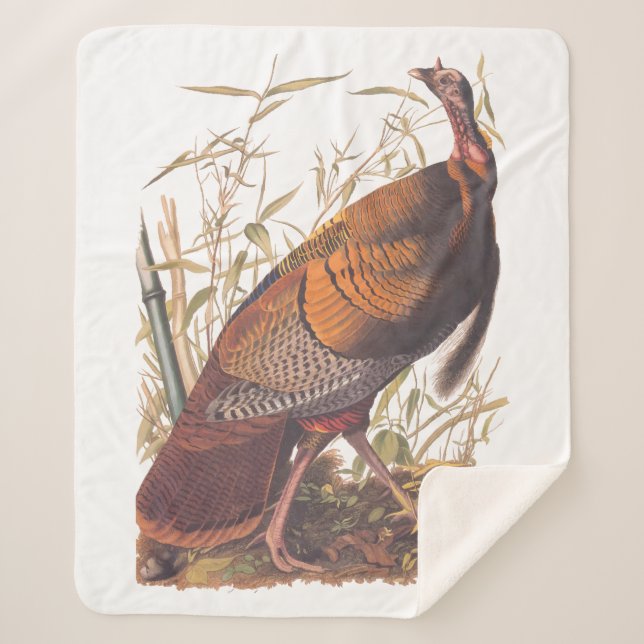 Audubon's Birds of America Wild Turkey Autumn Bird Sherpa Blanket (Front)