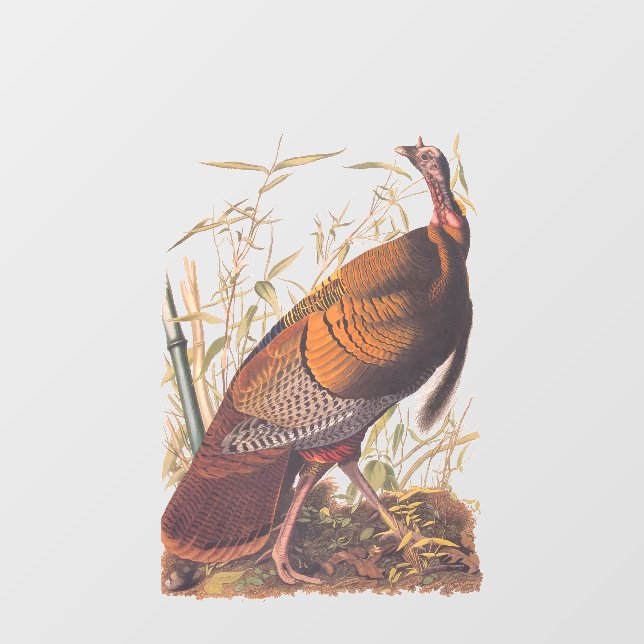 Audubon's Birds of America Wild Turkey Autumn Bird Window Cling (Sheet)