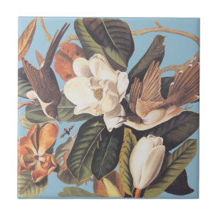 Audubon's Black Billed Cuckoo Tile