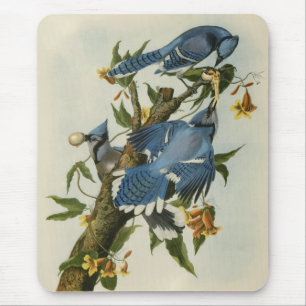 Audubon's Blue Jays Mouse Mat