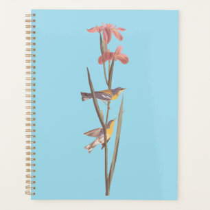 Audubon's Blue Yellowback Warbler Song Birds Planner