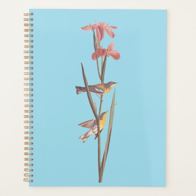 Audubon's Blue Yellowback Warbler Song Birds Planner (Front)
