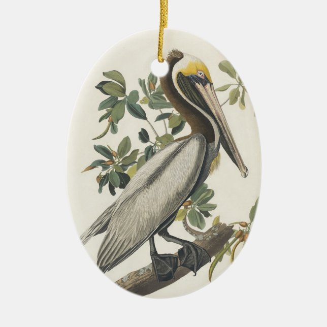 Audubon's Brown Pelican Ceramic Tree Decoration (Front)
