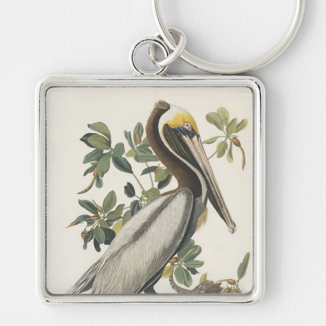 Audubon's Brown Pelican Key Ring (Front)