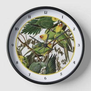Audubon's Carolina Parakeet Clock