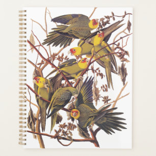 Audubon's Carolina Parakeet Planner