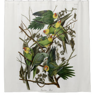 Audubon's Carolina Parakeet Shower Curtain