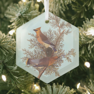 Audubon's Cedar Waxwing Bird Pair on Evergreen Glass Tree Decoration