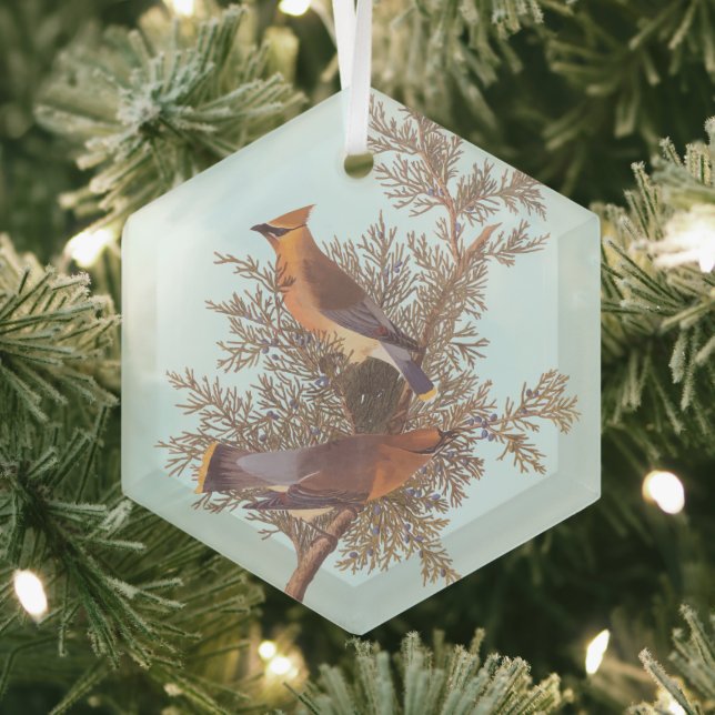 Audubon's Cedar Waxwing Bird Pair on Evergreen Glass Tree Decoration (Insitu)