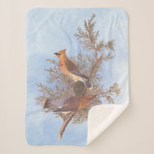 Audubon's Cedar Waxwing Bird Pair on Evergreen Sherpa Blanket