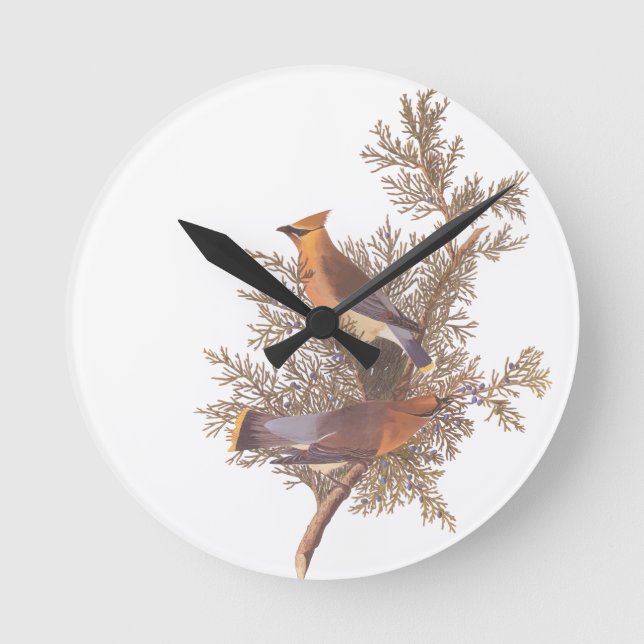 Audubon's Cedar Waxwing Bird Pair on Juniper Tree Round Clock (Front)