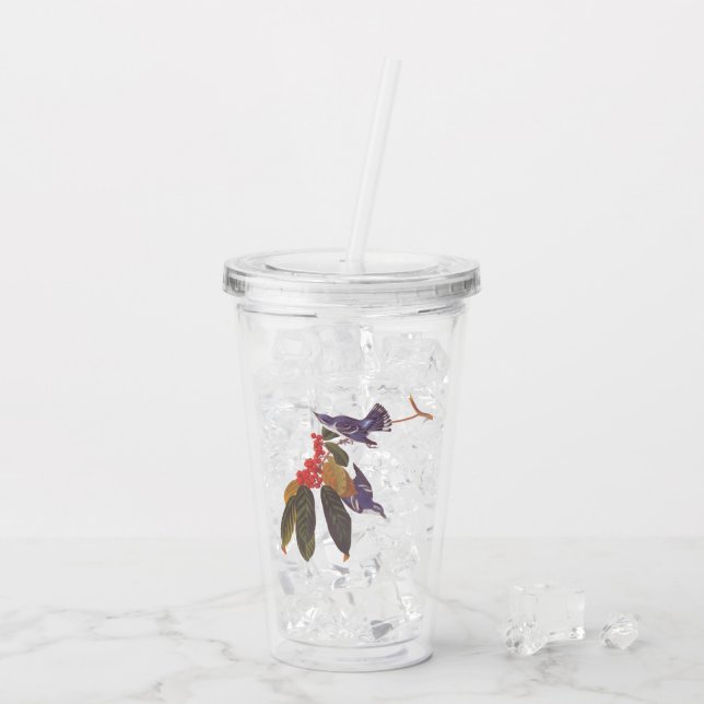 Audubon's Cerulean Warbler Birds with Bear Berries Acrylic Tumbler (Back Ice)